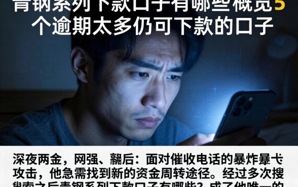 青钢系列下款口子有哪些，概览5个逾期太多仍可下款的口子