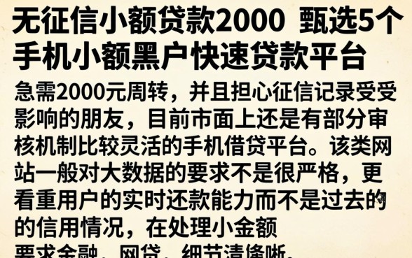 无征信小额贷款2000，甄选5个手机小额黑户快速贷款平台