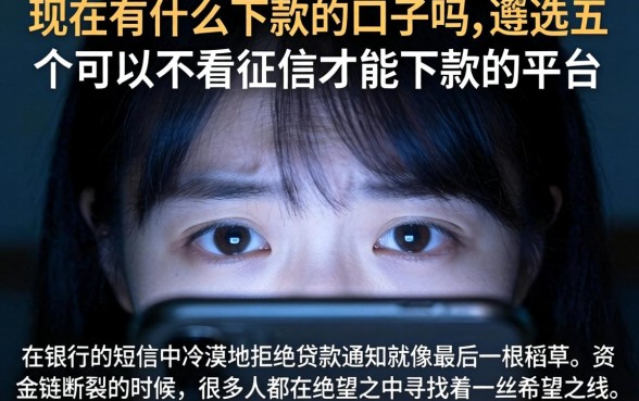 现在有什么下款的口子吗，遴选五个可以不看征信就能下款的平台