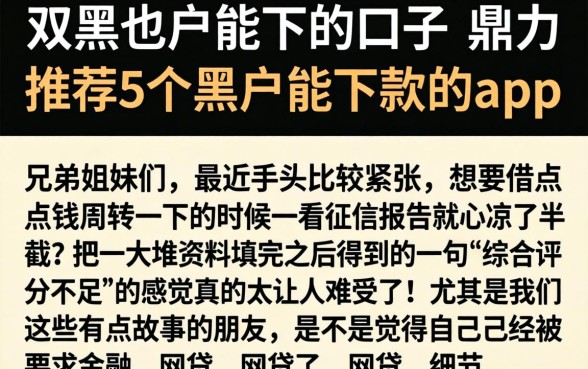 双黑也户能下的口子,鼎力推荐5个黑户能下款的app