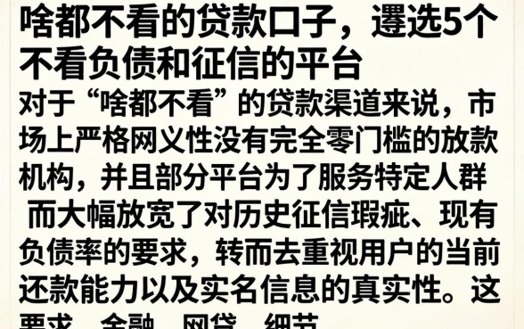 啥都不看的贷款口子,遴选5个不看负债和征信的平台