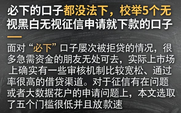必下的口子都没法下，枚举5个无视黑白无视征信申请就下款的口子