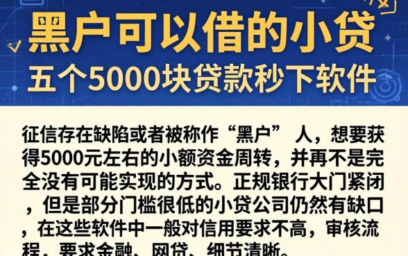 黑户可以借的小贷，详细阐述五个5000块贷款秒下软件