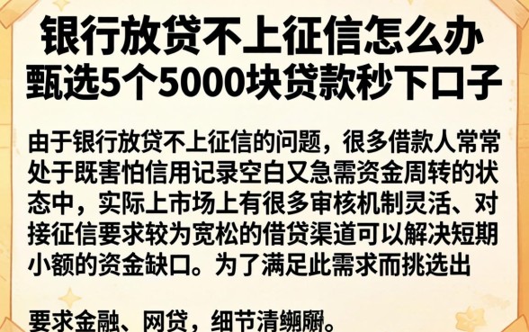银行放贷不上征信怎么办，甄选5个5000块贷款秒下口子
