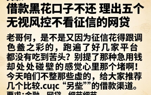 借款黑花口子不还，理出五个无视风控不看征信的网贷