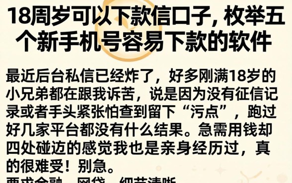 18周岁可以下款的口子，枚举五个新手机号容易下款的软件