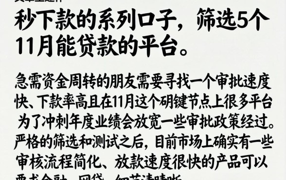 秒下款的系列口子，筛选5个11月能贷款的平台