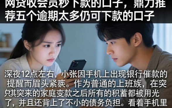 网贷收会员秒下款的口子，鼎力推荐五个逾期太多仍可下款的口子