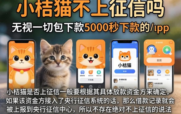 小桔猫不上征信吗，陈列五个无视一切包下款5000秒下款的app