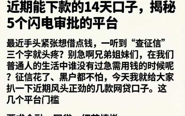 近期能下款的14天口子，揭秘5个闪电审批的平台