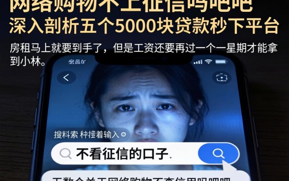 网络购物不上征信吗贴吧，深入剖析五个5000块贷款秒下平台