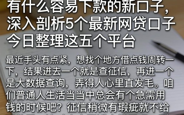 有什么容易下款的新口子，深入剖析5个最新网贷口子今日整理这五个平台
