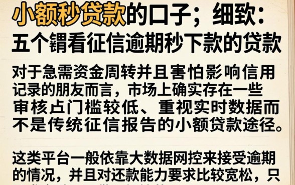 小额秒贷款的口子，细致阐述五个不看征信逾期秒下款的贷款