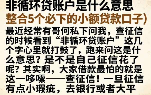 非循环贷账户是什么意思,整合5个必下的小额贷款口子