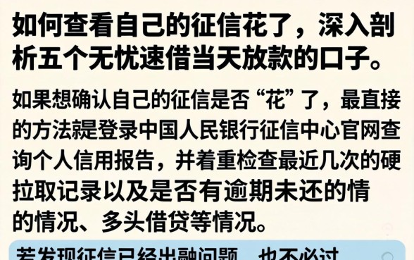 如何查看自己的征信花了，深入剖析五个无忧速借当天放款的口子
