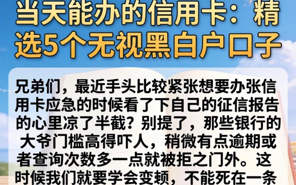 当天能办的信用卡,精选5个无视黑白户口子