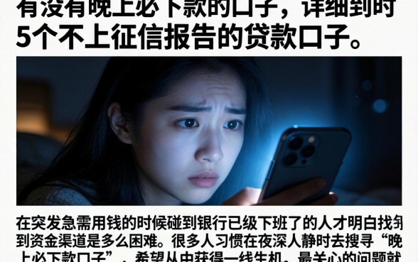 有没有晚上必下款的口子,详细阐述5个不上征信报告的贷款口子