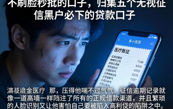 不刷脸秒批的口子，归集五个无视征信黑户必下的贷款口子