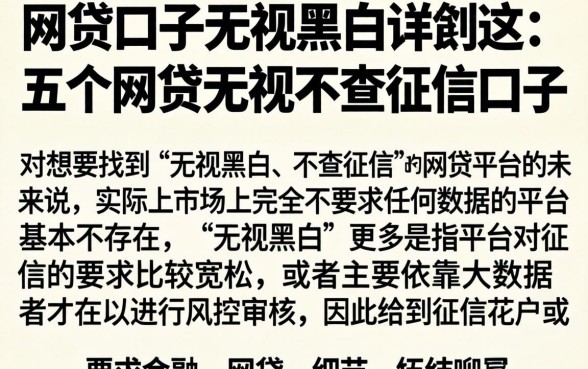 网贷口子无视黑白的，详细阐述五个网贷无视不查征信口子