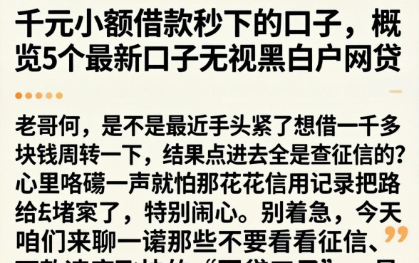 千元小额借款秒下的口子，概览5个最新口子无视黑白户网贷