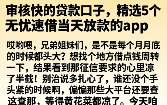 审核快的贷款口子，精选5个无忧速借当天放款的app