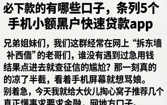 必下款的有哪些口子，条列5个手机小额黑户快速贷款app