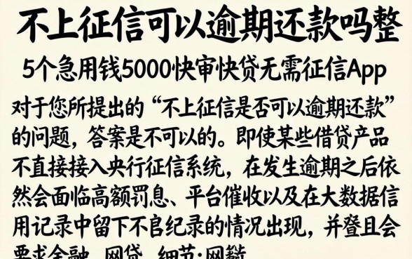 不上征信可以逾期还款吗，整合5个急用钱5000快审快贷无需征信app