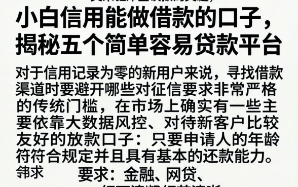 小白信用能做借款的口子，揭秘五个简单容易贷款平台
