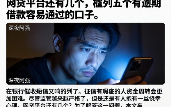 网贷平台还有几个，胪列五个有逾期借款容易通过的口子