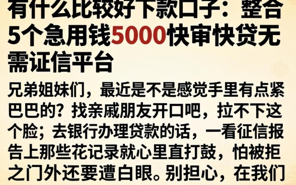 有什么比较好下款的口子，整合5个急用钱5000快审快贷无需征信平台