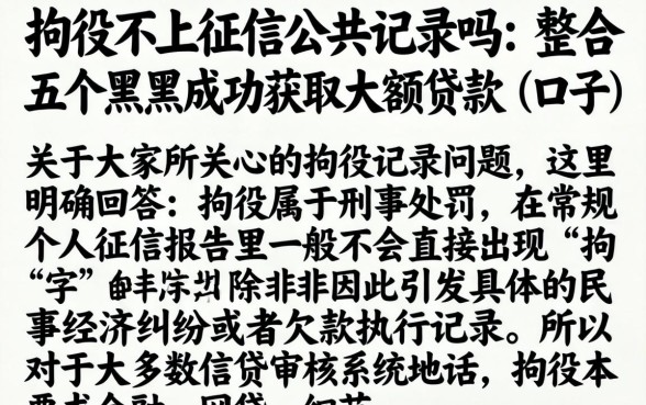 拘役不上征信公共记录吗，整合五个黑户成功获取大额贷款的口子