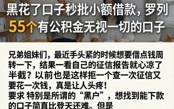 黑花了口子秒批小额借款，罗列5个有公积金无视一切的口子