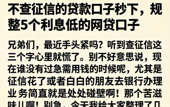 不查征信的贷款口子秒下，规整5个利息低的网贷口子