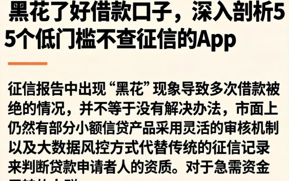黑花了好借款口子,深入剖析5个低门槛不查征信的app