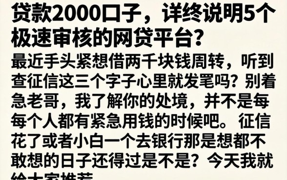 贷款2000口子，详尽说明5个极速审核的网贷平台