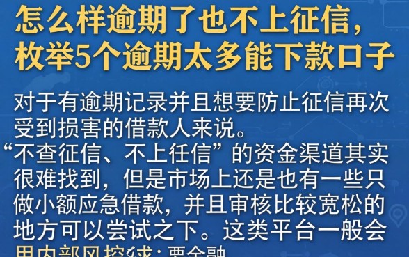 怎么样逾期了也不上征信，枚举5个逾期太多能下款口子