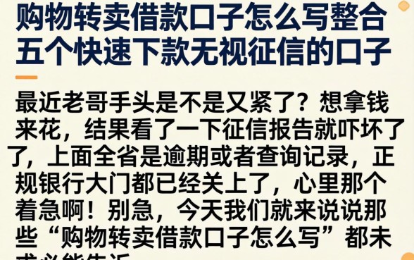 购物转卖借款口子怎么写，整合五个快速下款无视征信的口子