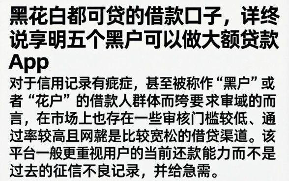 黑花白都可贷的借款口子，详尽说明五个黑户可以做大额贷款app