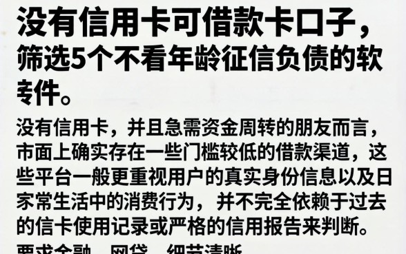 没有信用卡可借款的口子，筛选5个不看年龄征信负债的软件