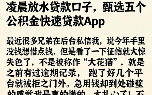凌晨放水贷款口子,甄选五个公积金快速贷款app