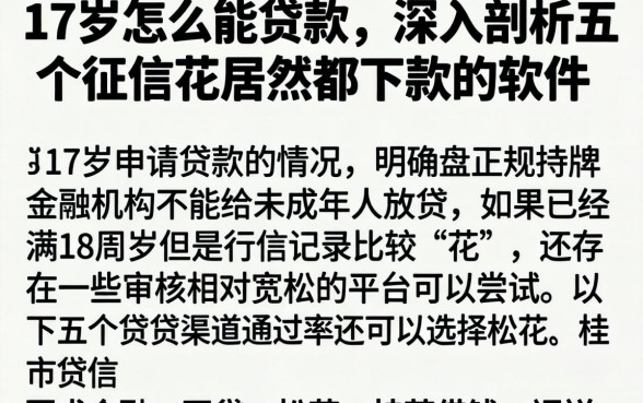 17岁怎么能贷款,深入剖析五个征信花居然都下款的软件