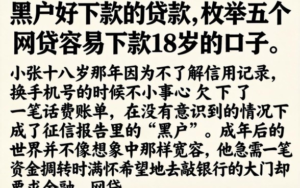 黑户好下款的贷款,枚举五个网贷容易下款18岁的口子