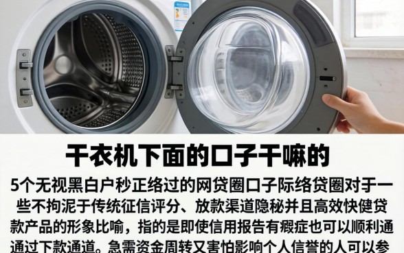 干衣机下面的口子干嘛的，详细阐述5个无视黑白户秒过的网贷口子