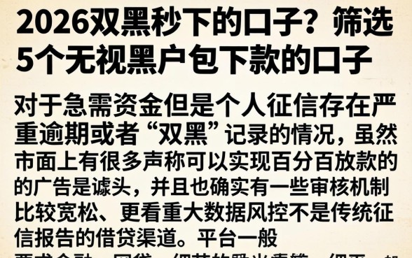 2026双黑秒下的口子，筛选5个无视黑户包下款的口子