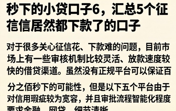 秒下的小贷口子6，汇总5个征信花居然都下款了的口子