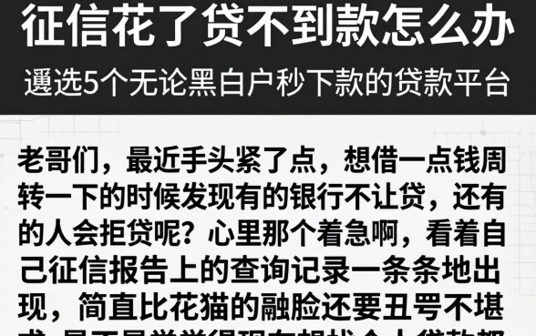 征信花了贷不到款怎么办，遴选5个无论黑白户秒下款的贷款平台
