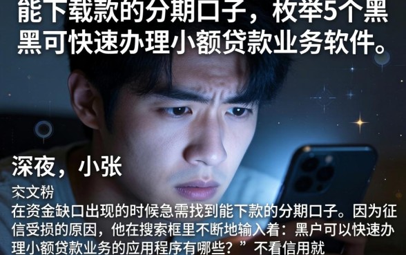 能下载款的分期口子,枚举5个黑户可快速办理小额贷款业务的软件