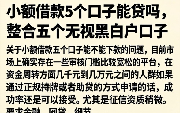 小额借款5个口子能贷吗,整合五个无视黑白户口子