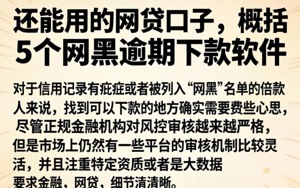 还能用的网贷口子，概括5个网黑逾期下款软件