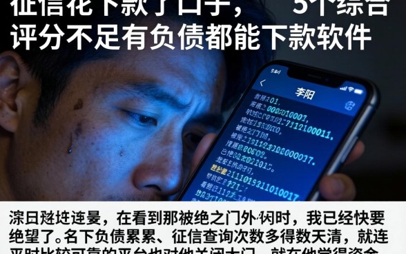 征信花下款了的口子，详细阐述5个综合评分不足有负债都能下款软件